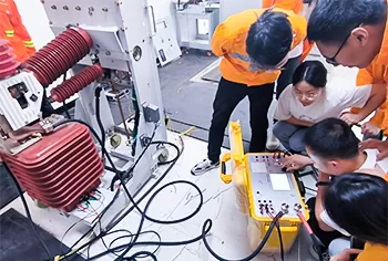 ELECGENE Сервис & Поддержка